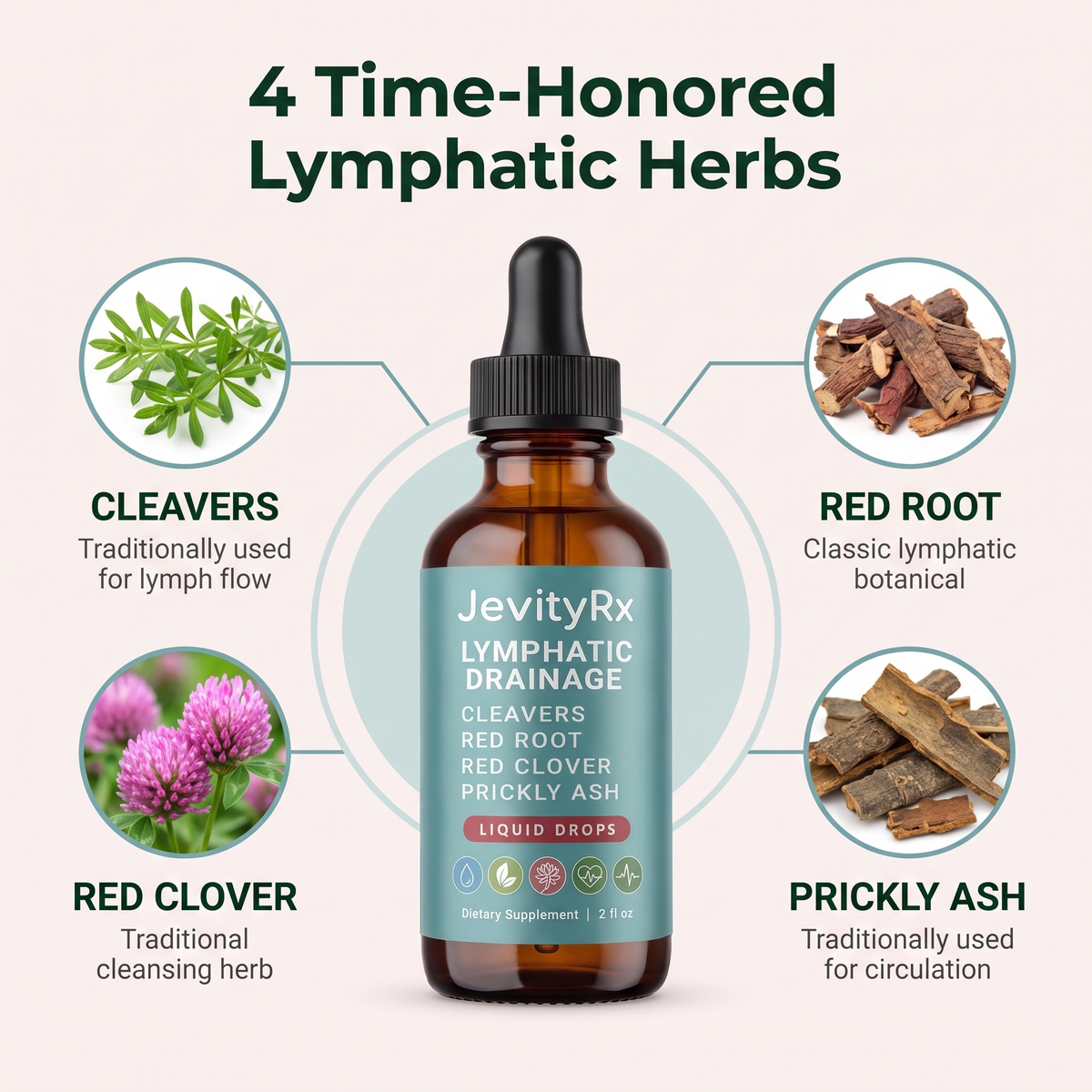 Four lymphatic herbs in Lymphatic Drainage